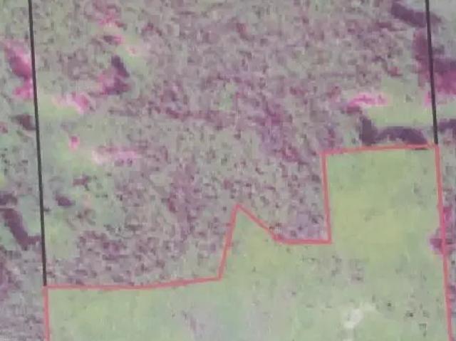 Fazenda venda em Região Geográfica Imediata de Juara, Juara