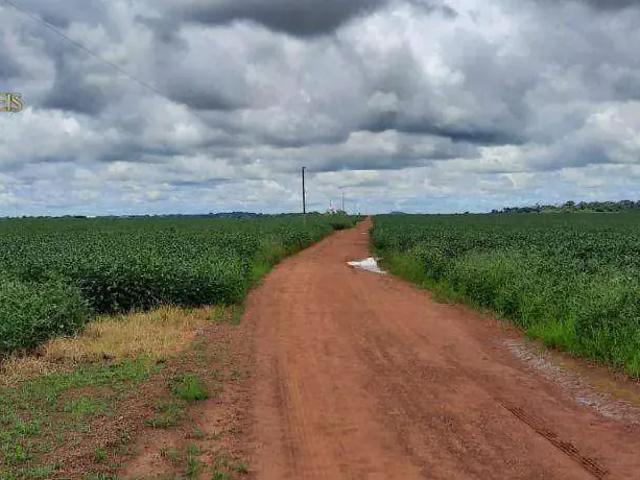 Fazenda venda em Região Geográfica Imediata de Currais Novos, Acari