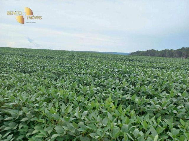 Fazenda venda em Senador Dinarte de Medeiros Mariz, Acari