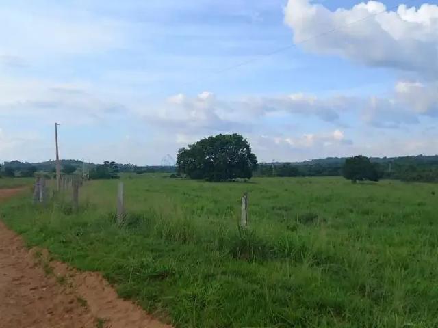 Fazenda venda em Região Geográfica Imediata de Juara, Juara