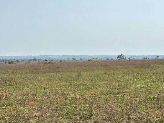 Fazenda venda em Região Geográfica Imediata de Catalão, Davinópolis