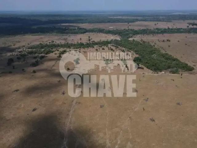 Fazenda venda em Região Geográfica Imediata de Juara, Juara