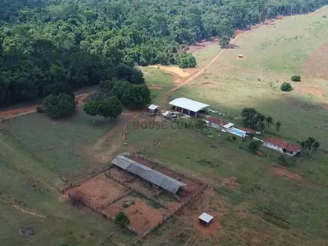 Fazenda venda em Região Geográfica Imediata de Juara, Juara