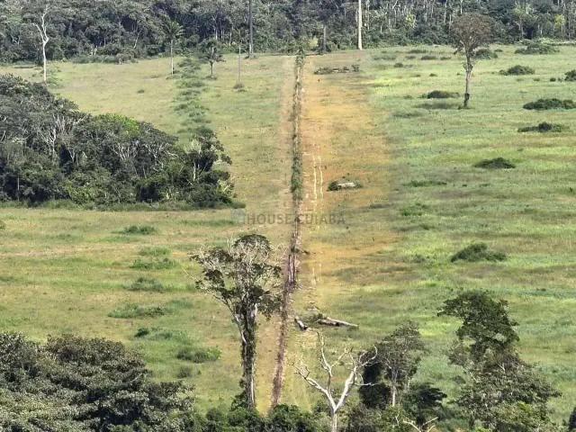 Fazenda venda em Região Geográfica Imediata de Juara, Juara