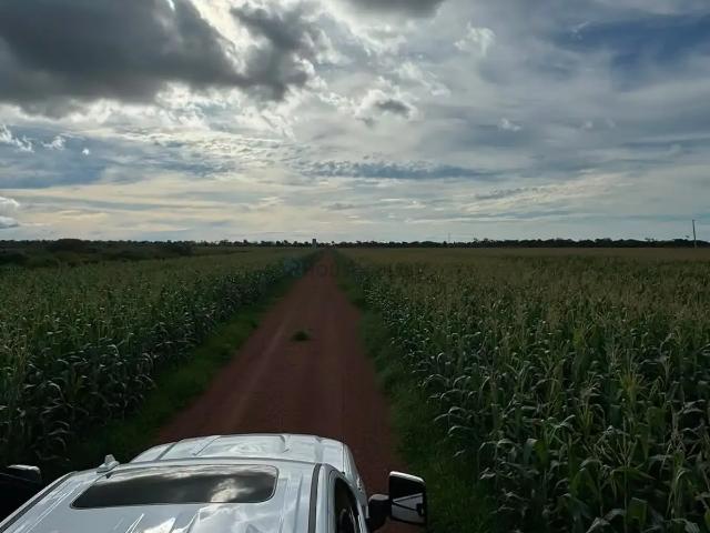 Fazenda venda em Região Geográfica Imediata de Juara, Juara