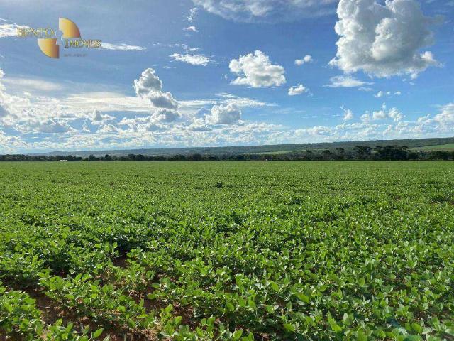 Fazenda venda em Senador Dinarte de Medeiros Mariz, Acari