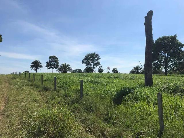 Fazenda venda em Região Geográfica Imediata de Juara, Juara