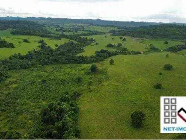 Fazenda venda em Região Geográfica Imediata de Juara, Juara