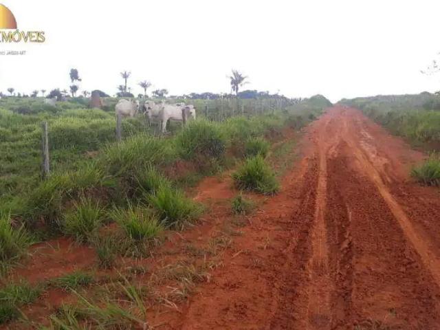 Fazenda venda em Região Geográfica Imediata de Currais Novos, Acari