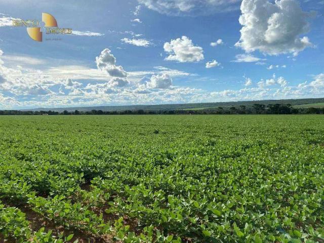 Fazenda venda em Região Geográfica Imediata de Currais Novos, Acari