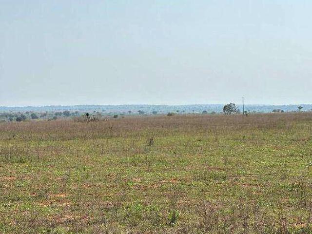 Fazenda venda em Davinópolis, Região Geográfica Intermediária de Goiânia