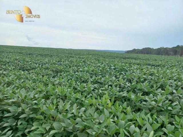 Fazenda venda em Região Geográfica Imediata de Currais Novos, Acari