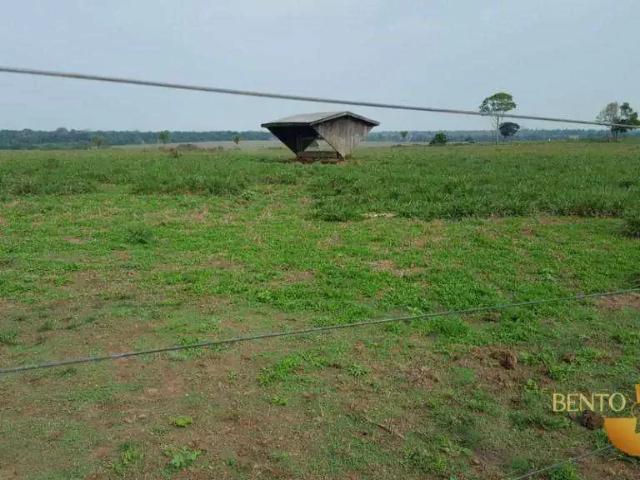 Fazenda venda em Região Geográfica Imediata de Juína, Juína