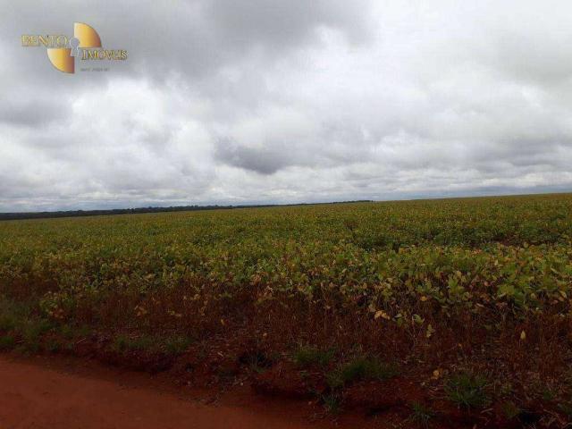 Fazenda venda em Região Geográfica Imediata de Juína, Juína