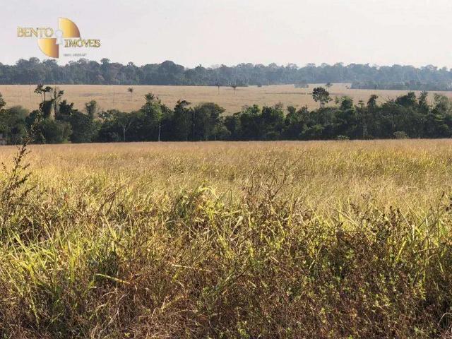 Fazenda venda em Região Geográfica Imediata de Juína, Juína
