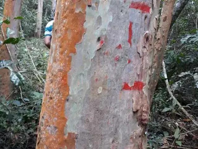 Fazenda venda em Grama, Juiz de Fora