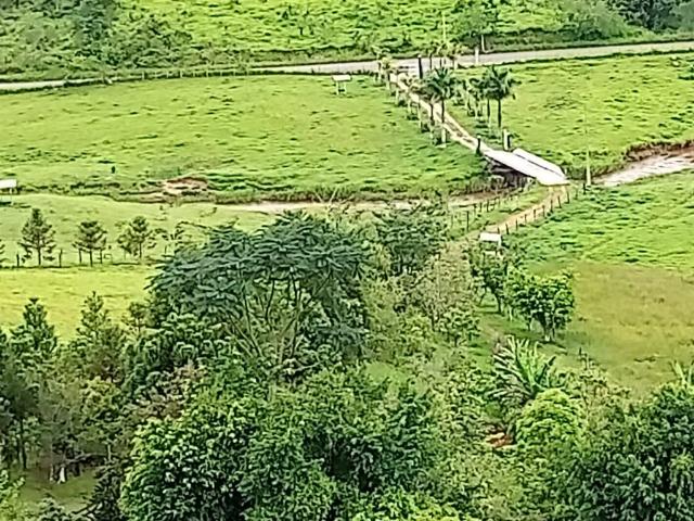 Fazenda venda em Parque Guarani, Juiz de Fora