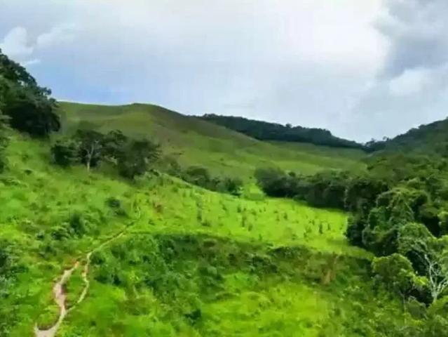 Fazenda venda em Região Geográfica Imediata de Juiz de Fora, Juiz de Fora