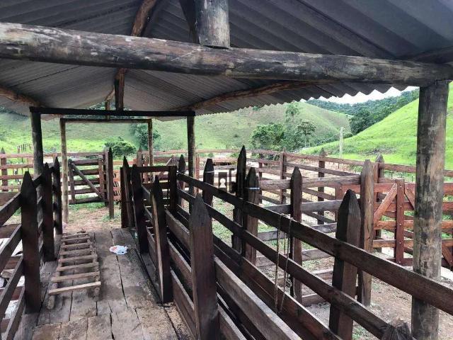 Fazenda venda em Região Geográfica Imediata de Juiz de Fora, Juiz de Fora