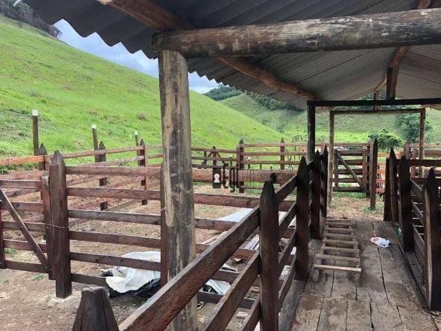 Fazenda venda em Região Geográfica Imediata de Juiz de Fora, Juiz de Fora