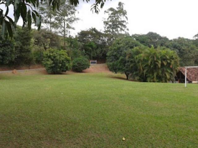 Fazenda venda em Juiz de Fora, Região Geográfica Intermediária de Juiz de Fora