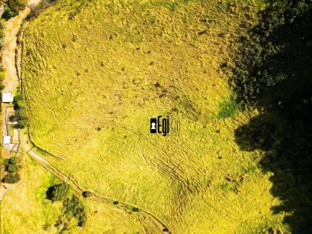Fazenda venda em Região Geográfica Imediata de Juiz de Fora, Juiz de Fora