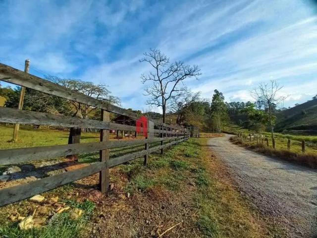 Fazenda venda em Região Geográfica Imediata de Juiz de Fora, Juiz de Fora