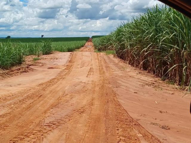 Fazenda venda em Região Imediata de Dracena, Junqueirópolis