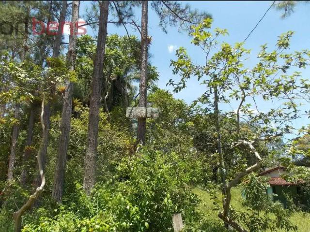 Fazenda venda em Região Imediata de Registro, Juquia