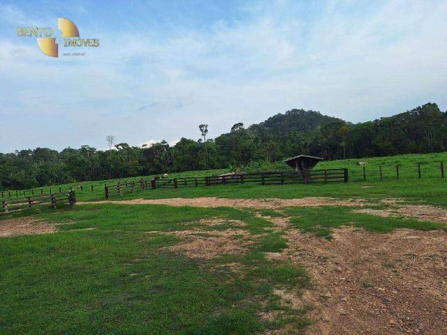 Fazenda venda em Juruena, Região Geográfica Intermediária de Sinop