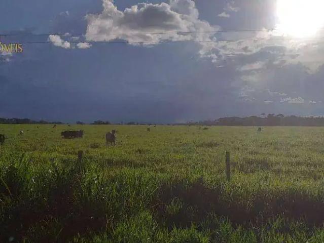Fazenda venda em Região Geográfica Imediata de Juína, Juruena