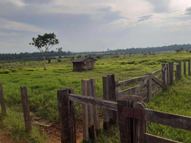 Fazenda venda em Juruena, Região Geográfica Intermediária de Sinop