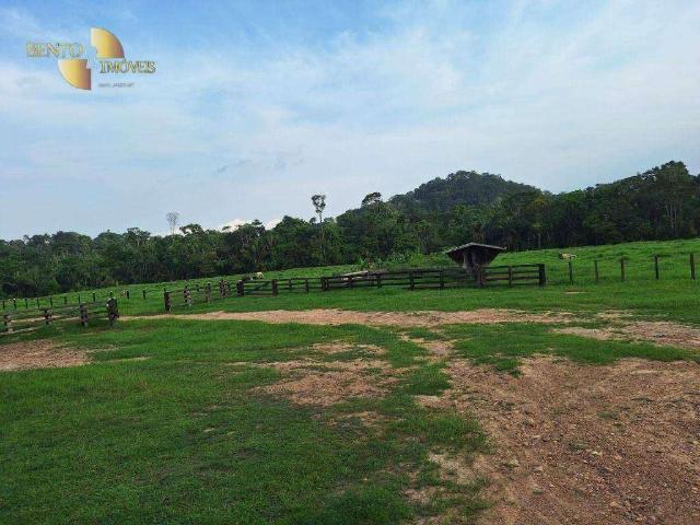 Fazenda venda em Região Geográfica Imediata de Juína, Juruena