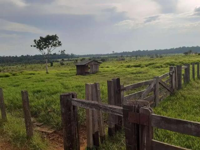 Fazenda venda em Região Geográfica Imediata de Juína, Juruena