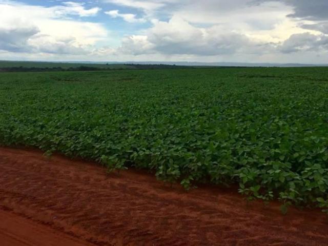 Fazenda venda em Juscimeira, Região Geográfica Intermediária de Rondonópolis