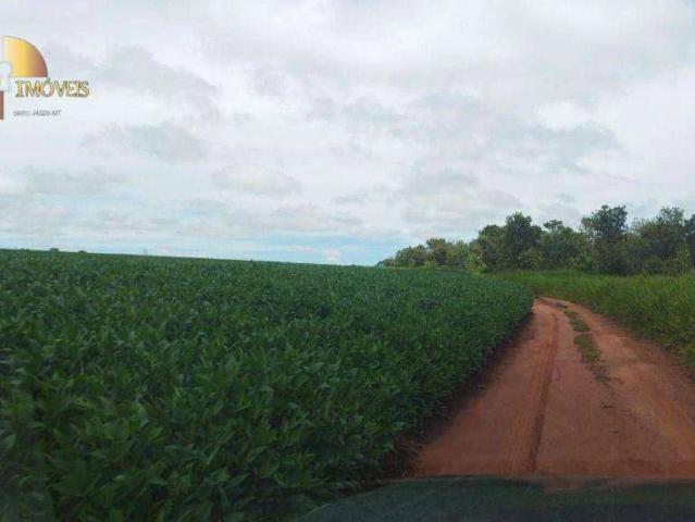 Fazenda venda em São Lourenço de Fátima, Juscimeira