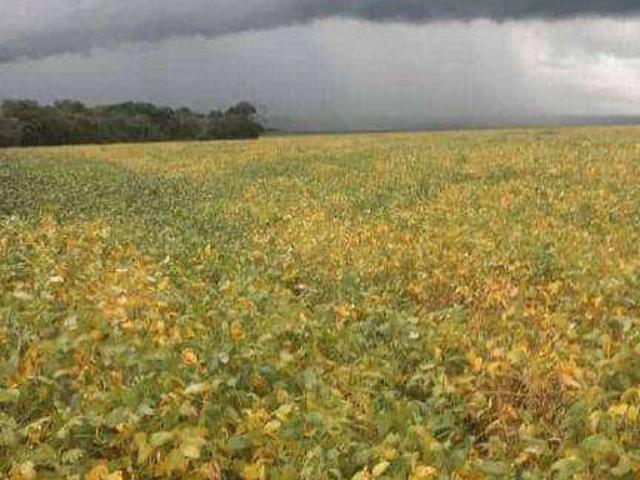 Fazenda venda em Juscimeira, Região Geográfica Intermediária de Rondonópolis