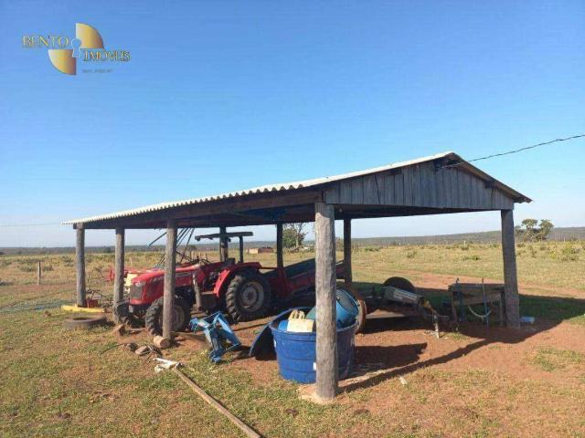 Fazenda venda em Juscimeira, Região Geográfica Intermediária de Rondonópolis