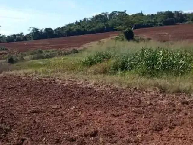 Fazenda venda em Região Geográfica Imediata de Jaciara, Juscimeira