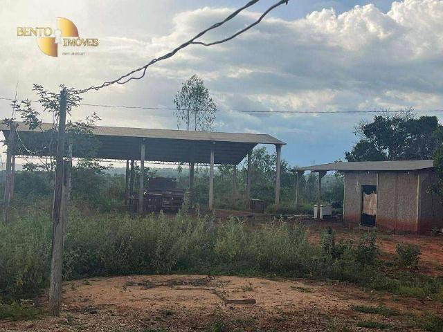 Fazenda venda em Juscimeira, Região Geográfica Intermediária de Rondonópolis