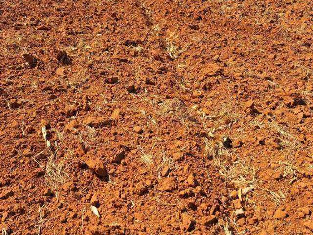 Fazenda venda em Juscimeira, Região Geográfica Intermediária de Rondonópolis