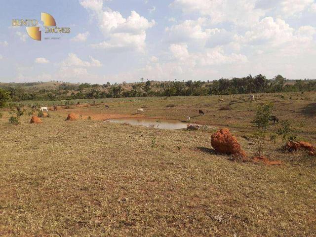 Fazenda venda em Juscimeira, Região Geográfica Intermediária de Rondonópolis