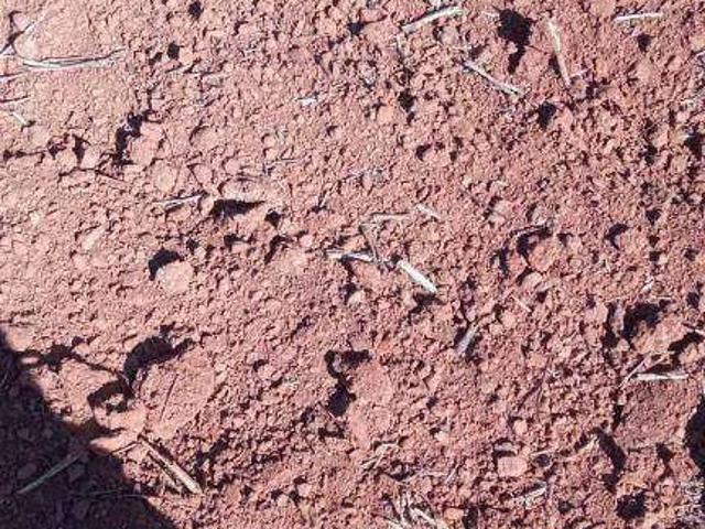 Fazenda venda em Juscimeira, Região Geográfica Intermediária de Rondonópolis