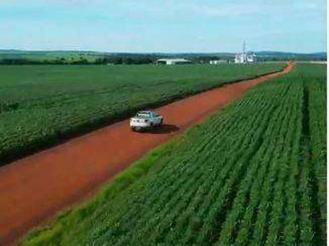 Fazenda venda em Juscimeira, Região Geográfica Intermediária de Rondonópolis