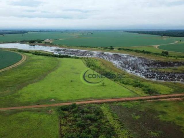 Sítio e chácara venda em Região Geográfica Imediata de Goiás - Itapuranga, Jussara