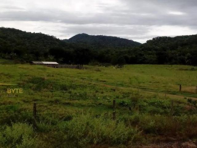 Sítio e chácara venda em Região Geográfica Imediata de Goiás - Itapuranga, Jussara