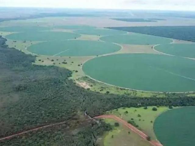 Sítio e chácara venda em Região Geográfica Imediata de Goiás - Itapuranga, Jussara