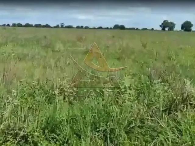 Fazenda venda em Região Geográfica Imediata de Goiás - Itapuranga, Jussara