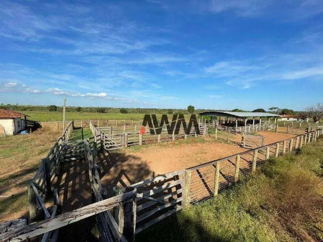 Fazenda venda em Região Geográfica Imediata de Goiás - Itapuranga, Jussara