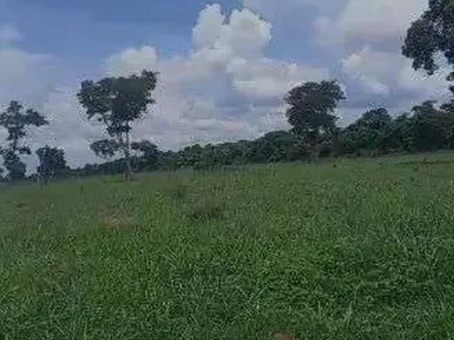 Fazenda venda em Região Geográfica Imediata de Goiás - Itapuranga, Jussara